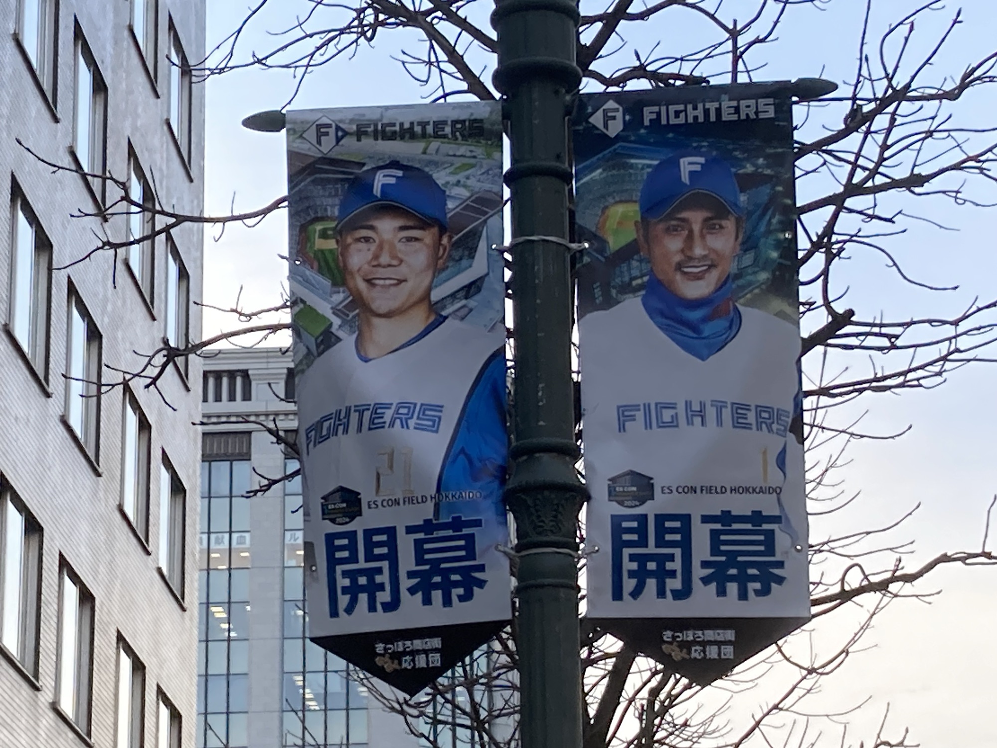活動歴および当時の関連ビジュアル記録